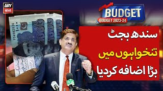 Sindh Budget 2023 government announces up to 35 increase in salaries [upl. by Yelime]