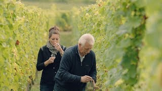 Preview WineMasters France Alsace S1E5 [upl. by Ydur]