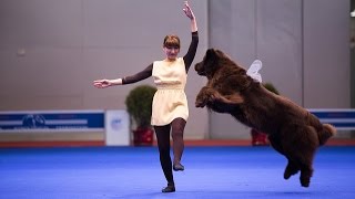 Танцы с собаками quotЕвразия 2014quot Dog Dancing Canine Freestyle [upl. by Netsoj922]