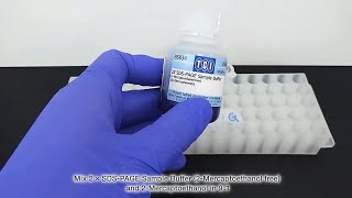 SDSPAGE Sample Preparation Protocol Using Reducing Reagent [upl. by Hendren]