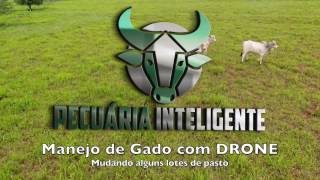 Pecuária Inteligente Manejo de gado com Drone [upl. by Nevaed]