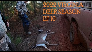 2022 VA DEER SEASONEP 10LAST DAY OF VIRGINIA DOG HUNTING SEASONSHOTS FIREDDEER DOWNFAST CHASES [upl. by Adnar]