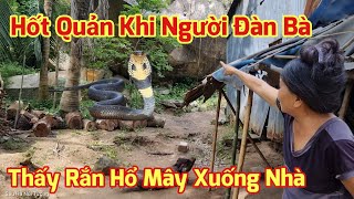 Rắn Hổ Mây Xuất Hiện Vào Nhà Dân Ở Chân Núi [upl. by Yeaton]