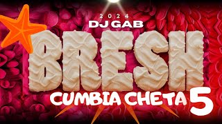 BRESH CUMBIA CHETA 2024 🔥PREVIA VERANO vol 5 🔥Marama  Rombai Toco para vos y mas 😈 DJ GAB [upl. by Akimot478]