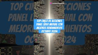 LAS 5 ACCIONES MAS RENTABLES DEL PANEL LIDER DEL MERVAL EN OCTUBRE 2024¡¡¡¡ merval bolsadevalores [upl. by Longfellow]