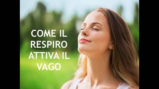 Come il respiro attiva il nervo vago [upl. by Alac]