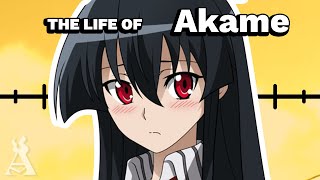 The Life Of Akame Akame ga Kill [upl. by Alicsirp]