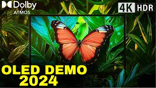 2024 OLED DEMO Dolby Atmos Breakthrough in NextGen TV Technology [upl. by Carlene122]