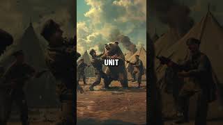 The Bear  Wojtek Who Became a Soldier in WWII facts historicalfacts history historyfacts [upl. by Aicats]