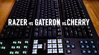 Mechanical Switch Comparison Gateron Blue vs Cherry MX Blue vs Razer Green [upl. by Three951]