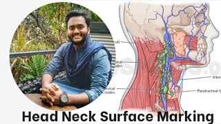 Head Neck Surface Marking [upl. by Rosemari]