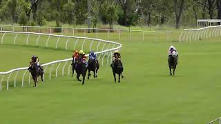 Mareeba 16032024 Race 2 [upl. by Palestine632]