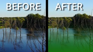 What Is Eutrophication  How Dead Zones Form And How To Fix it [upl. by Okim738]