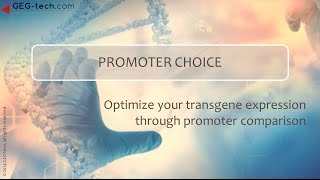 Optimize transgene expression through promoter choice [upl. by Frodin]