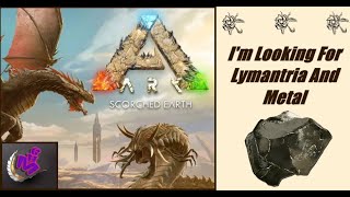 ARK Survival Ascended IM LOOKING FOR LYMANTRIA AND METAL  MAP SCORCHED EARTH  MHG 4K 12 [upl. by Grail857]