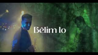 Burhan Toprak  Bêlîm Official Lyrics Video [upl. by Derdlim]