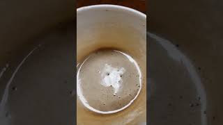 Hot cappuccino in a foam cup [upl. by Ijok]