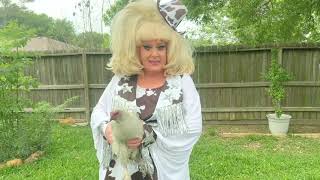 Lady Bunny vs Beyonces Texas Hold Em [upl. by Marlie]