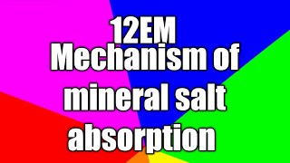 Class 12 11082020Topic Mechanism of mineral salt abortionL8 [upl. by Brey]