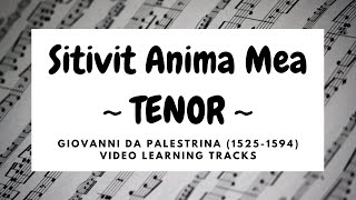 Sitivit Anima Mea Palestrina  Tenor [upl. by Ahsilem]