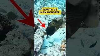 IKAN GURITA 🐙 VS IKAN BESAR facts faktaataumitos faktaunik mitosfakta misteri [upl. by Eisinger]