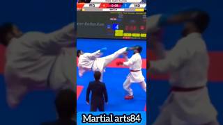 Best double kick karate mawashi geri karatekick kumite karate [upl. by Imerej]