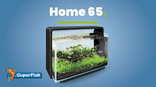 Superfish Home 65  Aquascaping [upl. by Anav680]