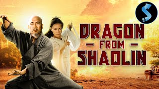 Dragon from Shaolin  Full Kung Fu Action Movie  Richard Kong  Li Ying Ying  Bruce Cheung [upl. by Mossberg418]