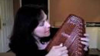 Autoharp Avenue  Chromatic vs Diatonic [upl. by Lamdin20]