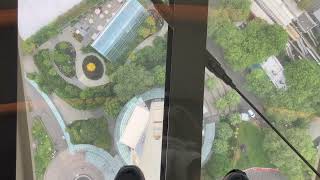 Space Needle revolving glass floor [upl. by Ennaxxor]