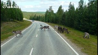 Arctic Circle  From Rovaniemi to Karasjok [upl. by Oinotnaesoj]