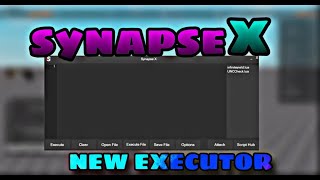 HOW TO DOWNLOAD THE LATEST SYNAPSE XIT IS WORKINGEXECUTOR ROBLOX 2024 [upl. by Ahsiekahs]