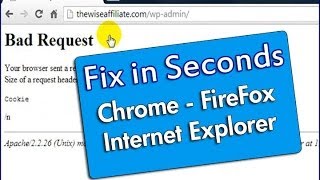 How To Fix 400 Bad Request Error in Seconds  Chrome FireFox IE [upl. by Siuqcram]