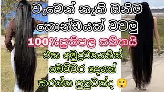 හිසකෙස් ගැලවී යාම නවතන බලගතු ළුනූ Onion Juice  How to grow hair fast sinhala  viral hairgrowth [upl. by Inattyrb]