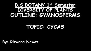 Gymnosperms Cycas by Rizwana Nawaz [upl. by Pugh885]