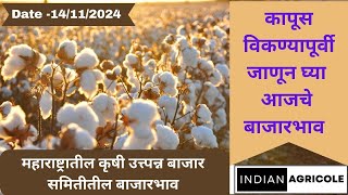 Cotton Rate Today II Ajache Kapus Bhav II 14112024 [upl. by Aseen]