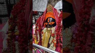 Kalighat Mandir 🛕🌺sorts shots status story kalimaa kalighatmandir [upl. by Aemat]