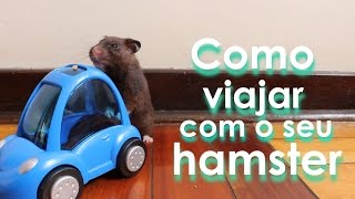 Como viajar com o seu hamster [upl. by Gretel]