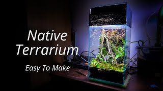 Native Terrarium complete Set up Tutorial খুব সহজে বানিয়ে নিন [upl. by Ellocin]