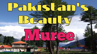 Pakistan Best Places  Murree Special  Murree Mall Road  Beautiful Locations  Best Travel Guide C [upl. by Aneahs]