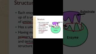 Unlocking Enzyme Power Active Site amp Structure Explained [upl. by Nnyleitak236]