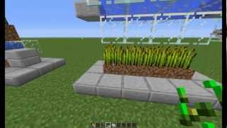 Minecraft tutoriel agriculture automatisé le blé [upl. by Alehtse]