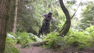 Haldon Forest Mtb  Devon Trail Centre [upl. by Olleina]