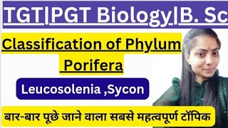 Classification of PoriferauptgtpgtbiologyclasesTGTPGT BiologyBsc amp MSc biologyBy Priyal bhati [upl. by Filberto]