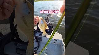 Got the G3 Sportsman 2100 out for a crappie meat run g3boats g3sportsman crappie [upl. by Yasibit]