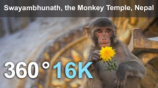 Swayambhunath the Monkey Temple Kathmandu Nepal 16K 360 video [upl. by Lleon]