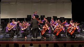 Pickerington Lakeview Junior High Orchestra  quotFestive Dancequot [upl. by Mcclenon]