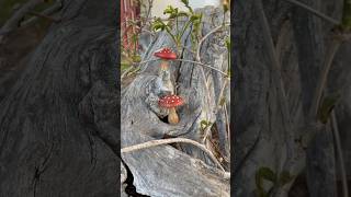 Mushroom 🍄 making on a wood lathe shorts fairygarden gnomes mushroom woodturning [upl. by Sandro]