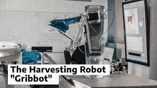 The Harvesting Robot quotGribbotquot [upl. by Sirromed748]