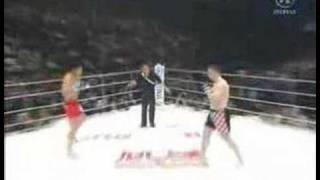 Mirko Cro Cop Filipović VS Tatsuya Mizuno [upl. by Fineberg]